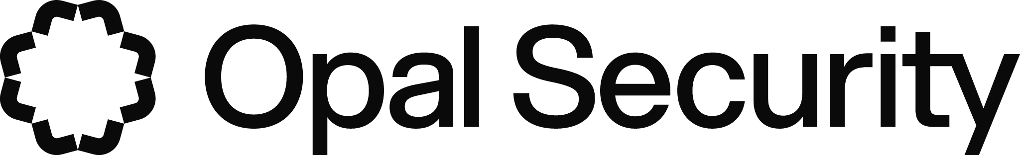 Opal Security